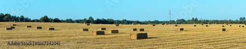 Hay bales scattered across harvested field. Golden hay bales on rural farmland after harvest with forest background. Agricultural landscape with rectangular hay bales on stubble field.