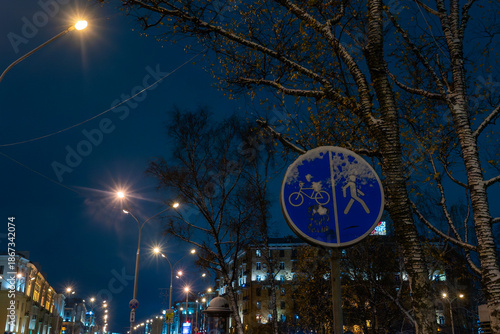 Frozen Boundaries Of Movement Bicycle And Pedestrian Sign In Transitional Season Between Autumn And Winter. Bicycle And Pedestrian Sign In Winter City