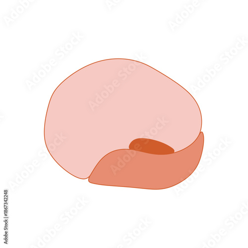 Single stylized pink bean illustration isolated on white background.