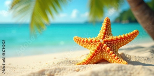 Starfish rests on warm sand, palm tree in background, palm tree, nature photography, ocean life