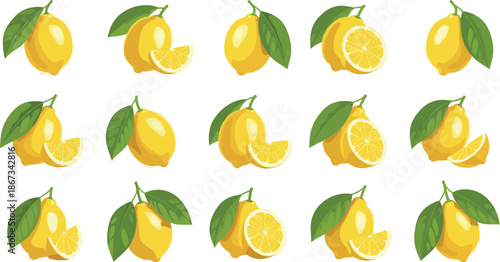 fresh Vector Illustration Set of Fresh Yellow Lemons Whole and Sliced