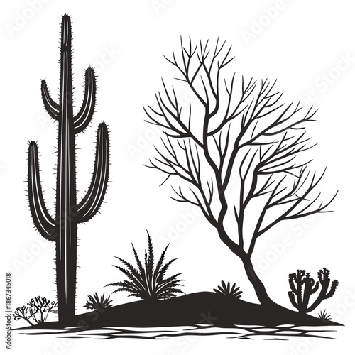 Desert landscape with cactus and tree