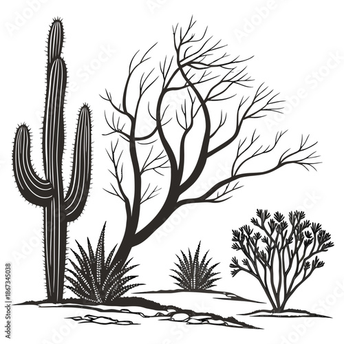 Desert landscape illustration