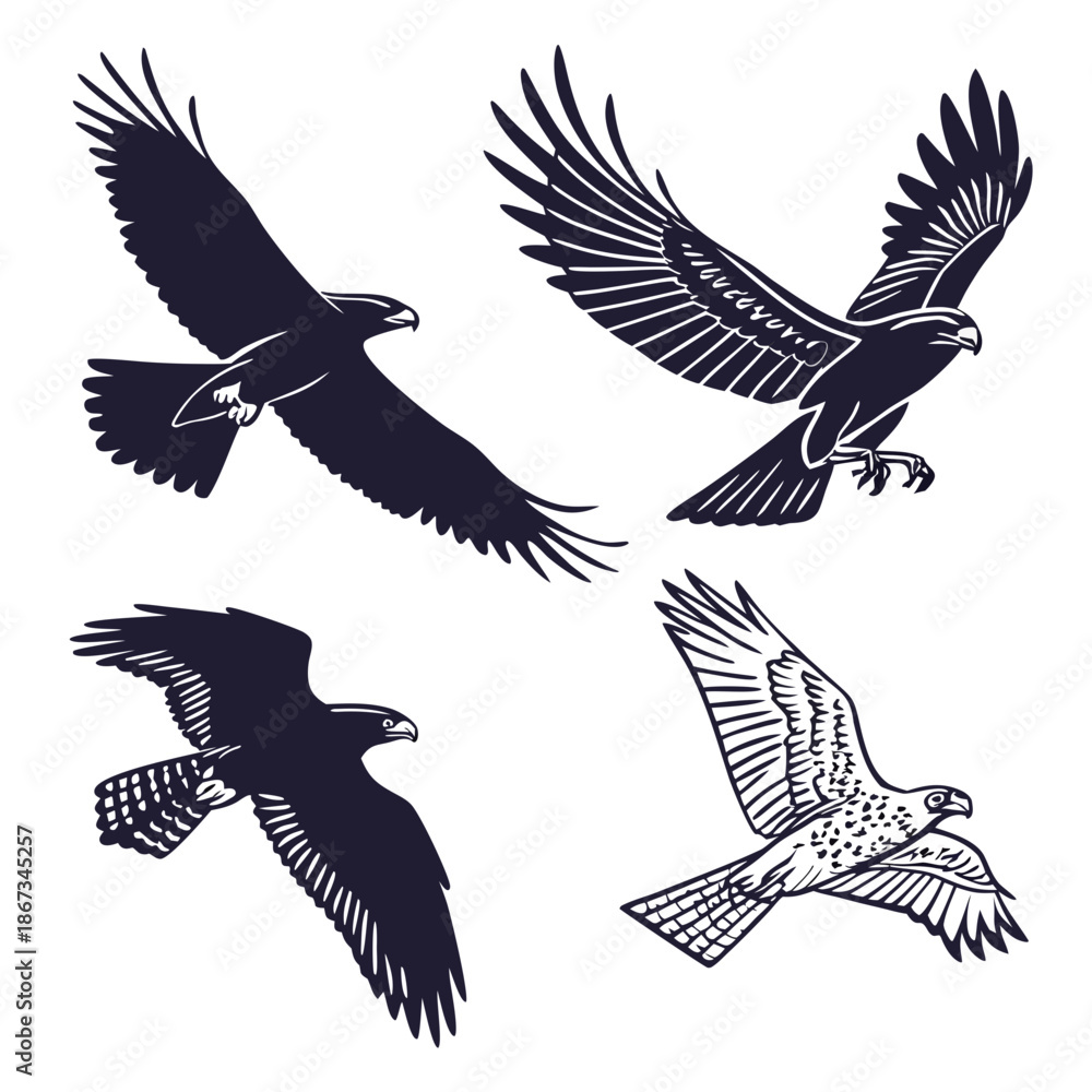 Fototapeta premium Four flying eagles illustration