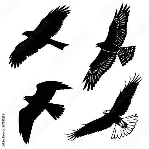Silhouettes of birds in flight