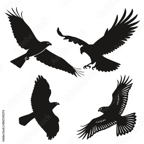 Silhouettes of birds in flight