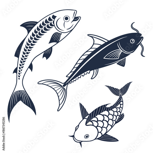 Three different fish illustrations