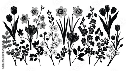 Black and white illustration of various flowers and plants with leaves on a plain background for design and decoration purposes with floral