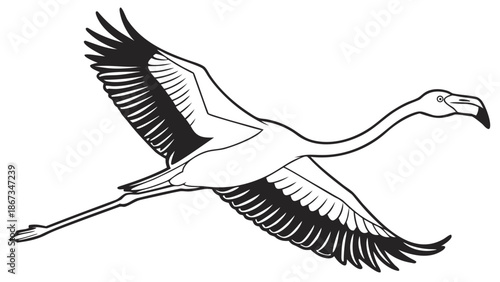 Graceful flamingo in flight with wings spread wide against a white background.