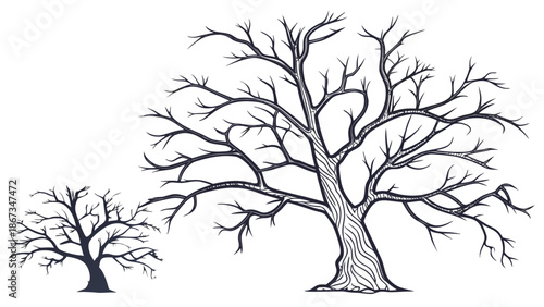Silhouetted bare trees stand against a stark background, one small sapling and one large mature tree.