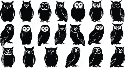 owl silhouette illustration set black nocturnal birds collection wildlife animal shapes vector icons isolated white background design