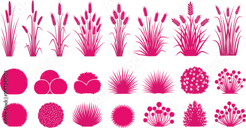 Stylized magenta plant silhouettes of grasses and shrubs for botanical illustration, landscape design, and creative graphic elements.