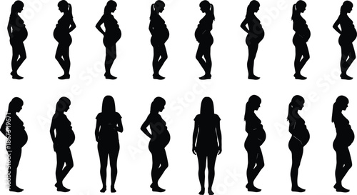 Pregnant woman body stages silhouette set showing maternity progression from early to late pregnancy, female health illustration black vector