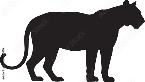 Silhouette of a Standing Malayan Tiger Isolated on a White Background