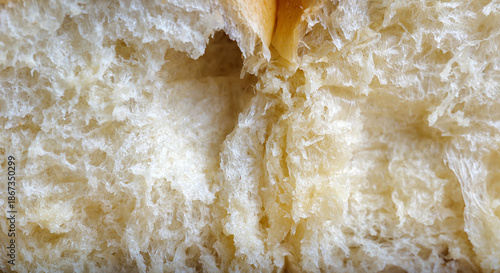 Bread texture macro shot. Close up bread surface background