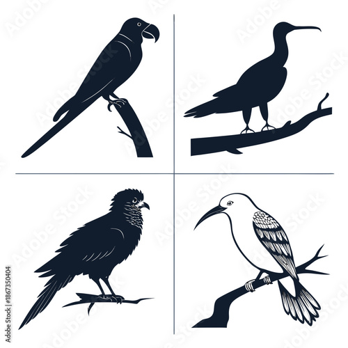 Collection of bird silhouettes