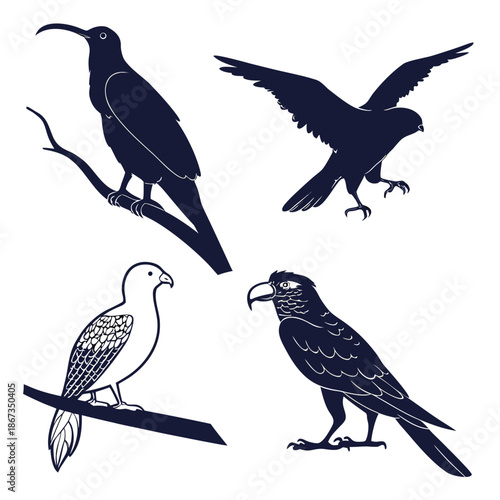 Bird silhouettes