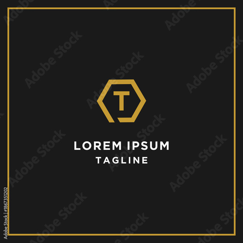 pt or tp hexagon logo