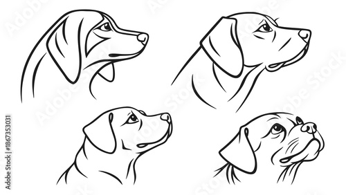 Four distinct dog head profiles in elegant line art, showcasing diverse breeds and expressions.