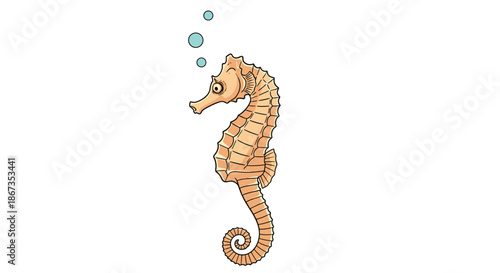 Graceful orange seahorse illustration swimming vertically with small bubbles on a clean and simple white background scene.
