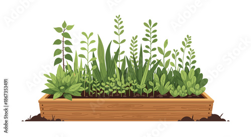 Lush and dense variety of green plants and healthy herbs growing in a long wooden garden planter box on white background.