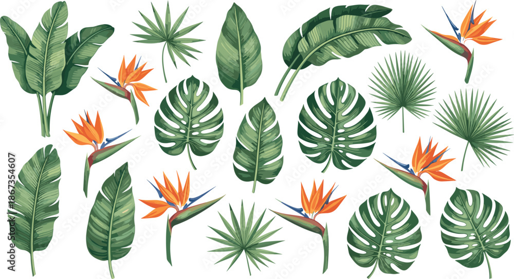 Fototapeta premium Vector Illustration Set of Tropical Monstera Banana Leaves and Bird of Paradise Flowers