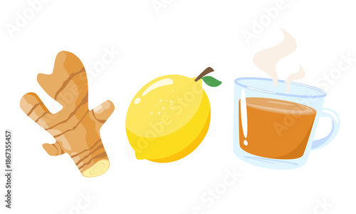 Ginger, lemon and hot tea cartoon. A cup of tea with white background vector.