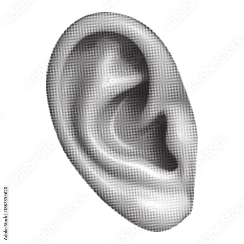 Detailed grayscale illustration of a human ear showcasing its complex anatomy