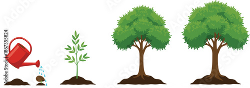 Flat vector illustration showing the stages of tree growth from seed and sprout to mature green tree with a red watering can.