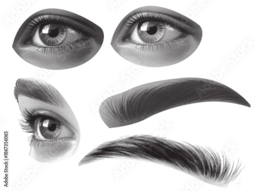 Detailed study of human eyes and eyebrows in grayscale halftone effect