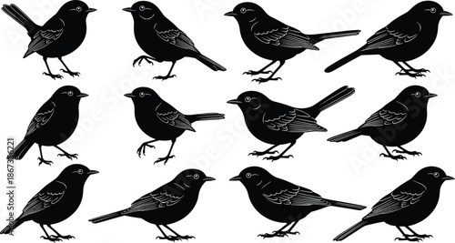 Black bird silhouette collection, minimalist flying and standing songbird icons, isolated wildlife illustration set for graphic design branding projects usage