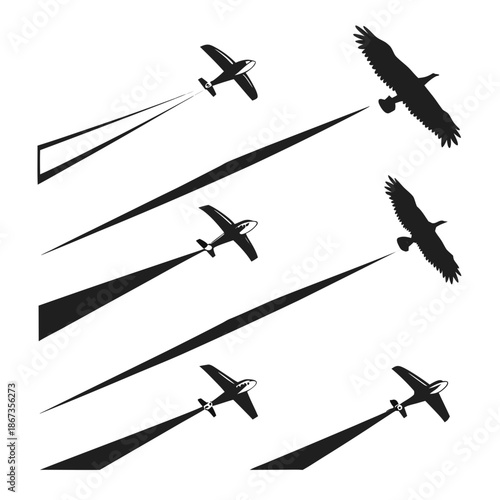 Silhouettes of airplanes and birds