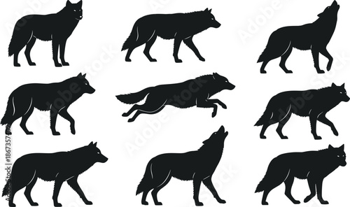 Wolf silhouette collection, wild animal poses running walking howling, black vector illustration set isolated on white background nature wildlife art