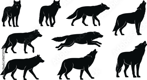 Wolf silhouette collection, wild animal poses, walking running howling wolves isolated black vector illustration set for nature design projects usage