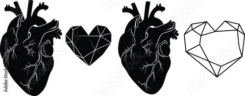 Anatomical hearts transition into gemstone shapes a visual representation of love