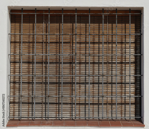 Window grilles on a window at a House