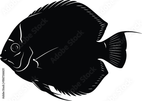Silhouette, fish, marine, underwater, black, shape, aquatic, animal, fins, dorsal, tail, pectoral, ocean, sea, nature, wildlife, illustration, graphic, isolated, vector, tropical, swimming