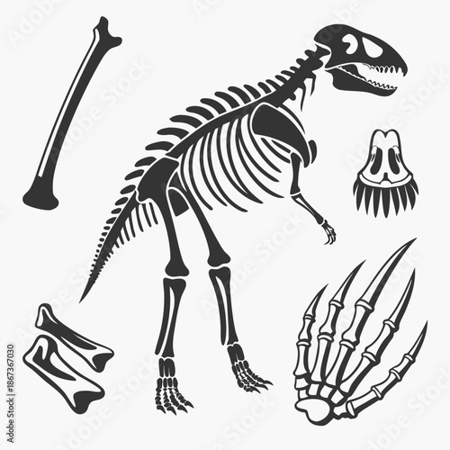 Dinosaur skeleton illustration