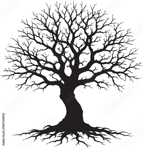 Detailed black and white silhouette graphic showcases a mature deciduous tree completely bare of leaves standing strong with intricate branches and visible roots