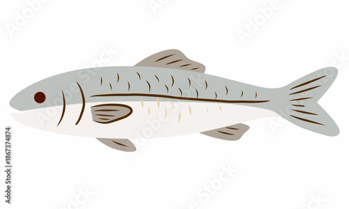 Fresh Fish in Flat Illustration Style for Protein Food Design