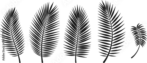 Black Liquid Drip Shapes Collection with Ink, Paint and Oil Drops Silhouette Vector Elements on White Background