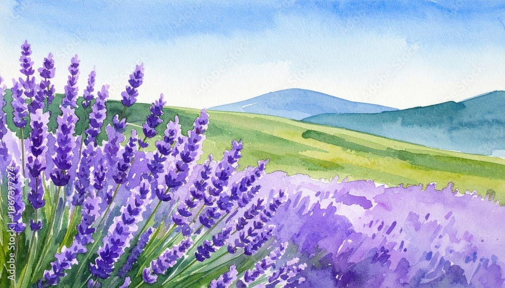 Obraz premium Watercolor Lavender Field Landscape Painting with Mountains and Blue Sky.