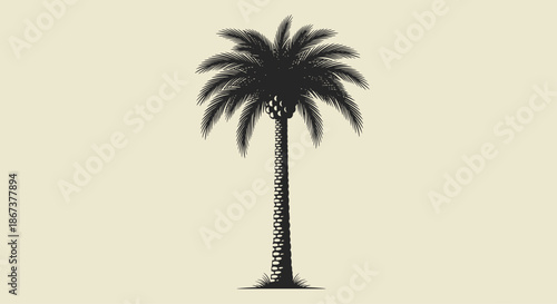 Detailed black and white engraving style of a single tall date palm tree standing on a warm beige background for decor.