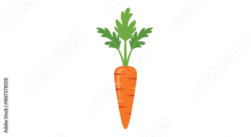 Single fresh orange carrot with vibrant green leaves shown in a flat vector style, isolated on a white background for healthy food themes.