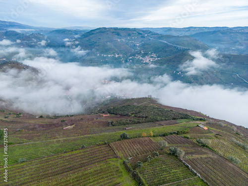 landscape of the mountains