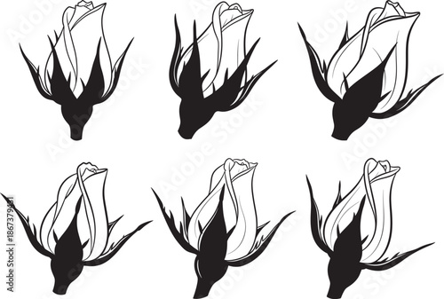 Six rose bud silhouette flower head illustrations