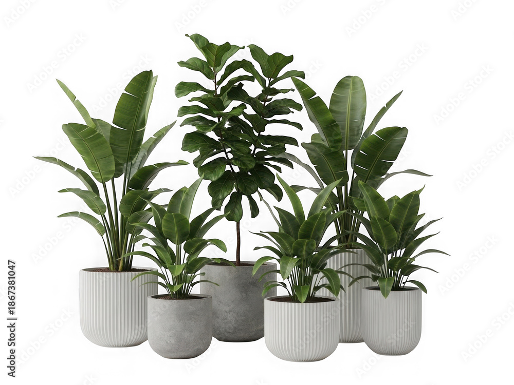 Obraz premium Collection of potted tropical plants in modern pots