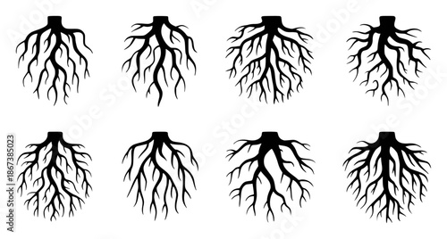 Collection of black tree root silhouettes a white roots