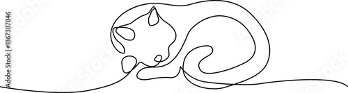 Sleeping cat outline Vector