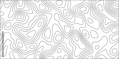 Monochrome Abstract Pattern of Wavy Contour Lines in Black and White, Mimicking Topographical Maps or Organic Textures for Backgrounds and Design Elements